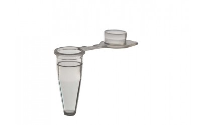 0-1-ml-pcr-tube_0.jpg